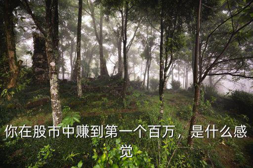 你在股市中賺到第一個百萬，是什么感覺