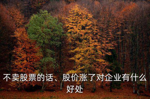 不賣(mài)股票的話、股價(jià)漲了對(duì)企業(yè)有什么好處