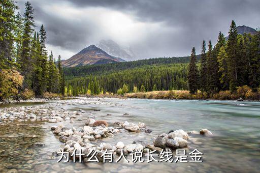 什么是比特幣長(zhǎng)線(xiàn),為什么有人說(shuō)長(zhǎng)線(xiàn)是金