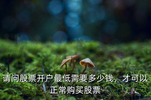 想玩股票開(kāi)戶(hù)多少錢(qián),開(kāi)戶(hù)最少需要多少錢(qián)