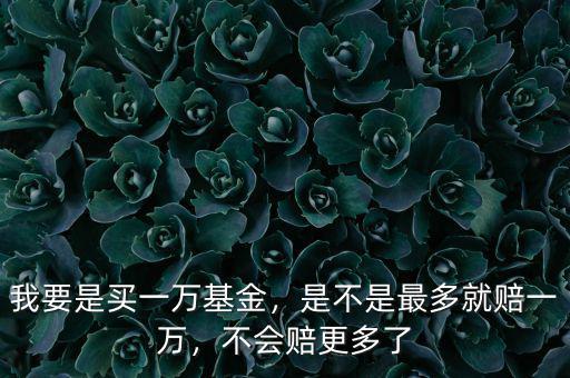 我要是買一萬基金，是不是最多就賠一萬，不會賠更多了