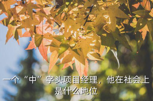 一個(gè)“中”字頭項(xiàng)目經(jīng)理，他在社會(huì)上是什么地位