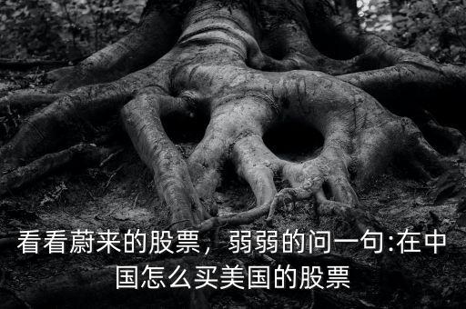 看看蔚來的股票，弱弱的問一句:在中國怎么買美國的股票