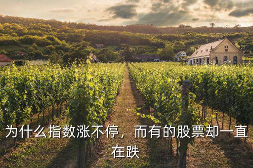 為什么指數(shù)漲不停，而有的股票卻一直在跌