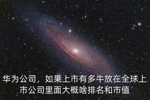 華為公司，如果上市有多牛放在全球上市公司里面大概啥排名和市值