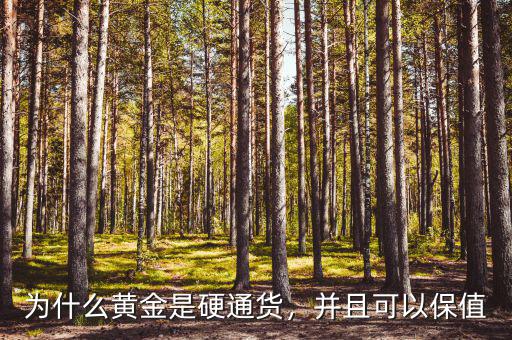 為什么黃金是硬通貨，并且可以保值