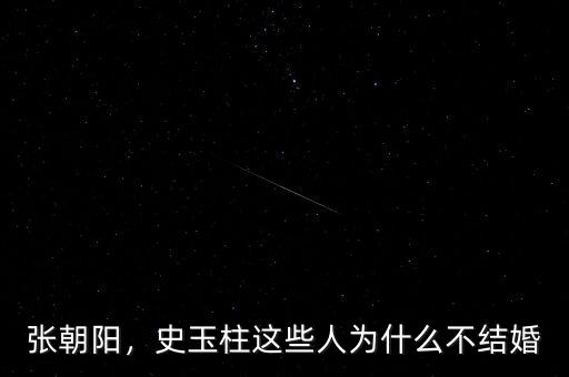 張朝陽(yáng)，史玉柱這些人為什么不結(jié)婚