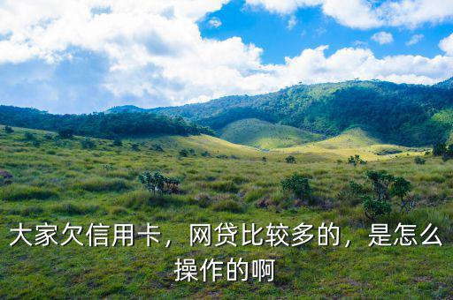 大家欠信用卡，網(wǎng)貸比較多的，是怎么操作的啊