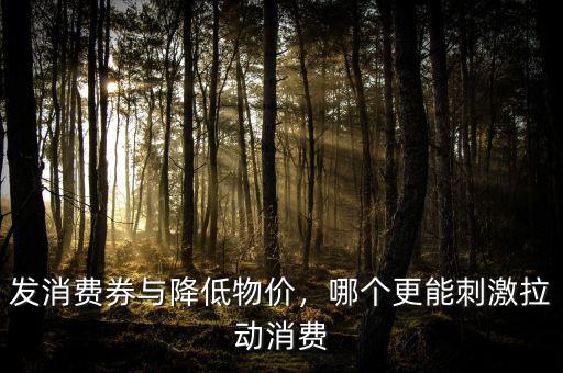 發(fā)消費(fèi)券與降低物價(jià)，哪個(gè)更能刺激拉動消費(fèi)