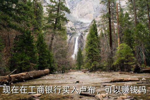 現(xiàn)在在工商銀行買入盧布，可以賺錢嗎