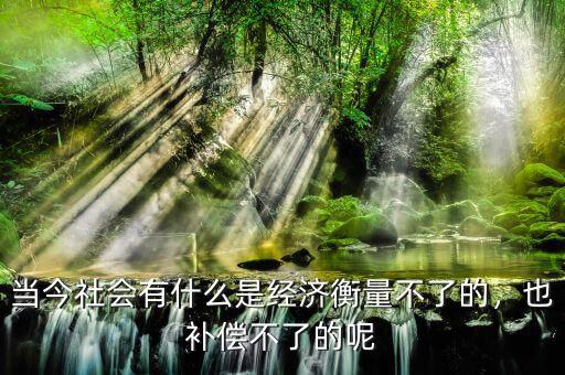 當(dāng)今社會有什么是經(jīng)濟(jì)衡量不了的，也補(bǔ)償不了的呢