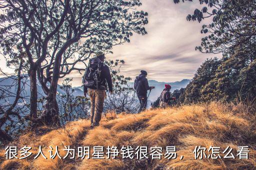 很多人認為明星掙錢很容易，你怎么看