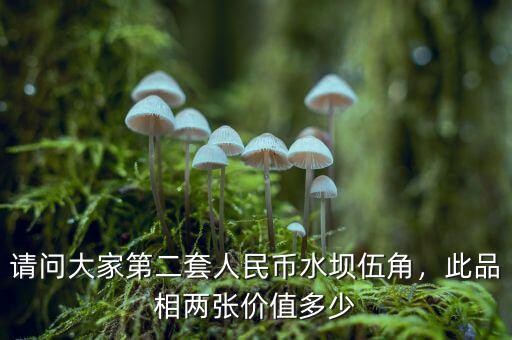 請問大家第二套人民幣水壩伍角，此品相兩張價值多少
