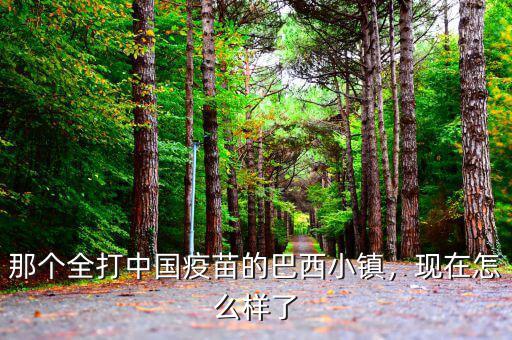 那個(gè)全打中國(guó)疫苗的巴西小鎮(zhèn)，現(xiàn)在怎么樣了