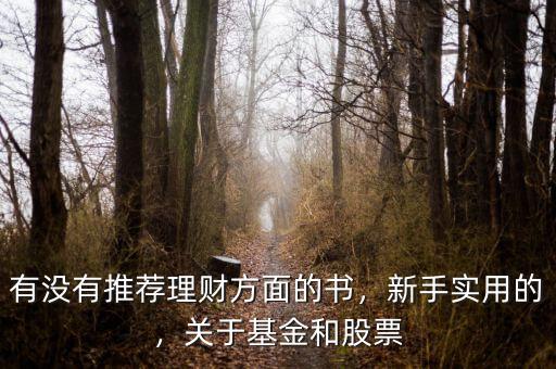 有沒有推薦理財方面的書，新手實用的，關于基金和股票