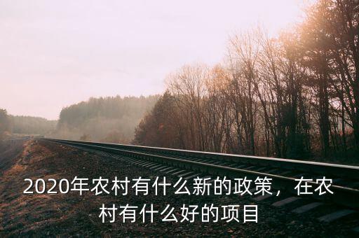2020年農(nóng)村有什么新的政策，在農(nóng)村有什么好的項(xiàng)目