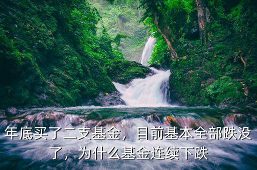 年底買了二支基金，目前基本全部跌沒了，為什么基金連續(xù)下跌
