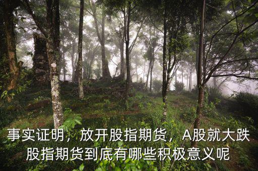 事實(shí)證明，放開股指期貨，A股就大跌股指期貨到底有哪些積極意義呢