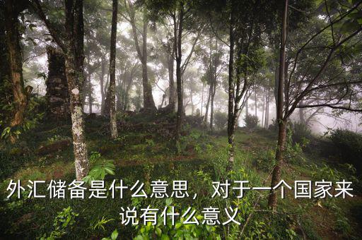 外匯儲備是什么意思，對于一個國家來說有什么意義