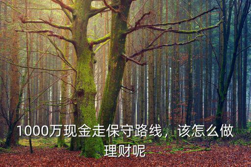 1000萬現(xiàn)金走保守路線，該怎么做理財(cái)呢