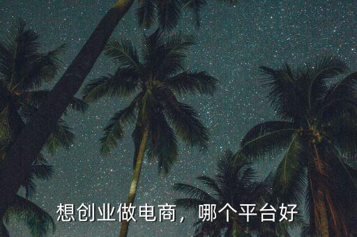 想創(chuàng)業(yè)做電商，哪個平臺好