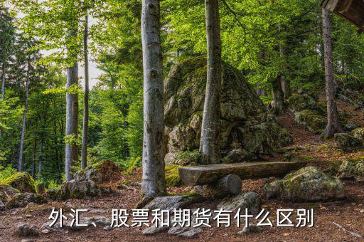 外匯、股票和期貨有什么區(qū)別