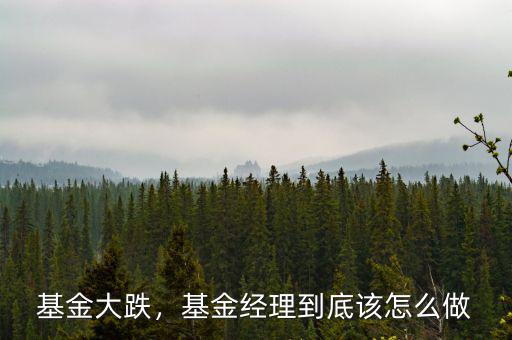 基金大跌，基金經(jīng)理到底該怎么做
