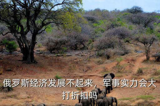 俄羅斯經(jīng)濟(jì)發(fā)展不起來，軍事實力會大打折扣嗎