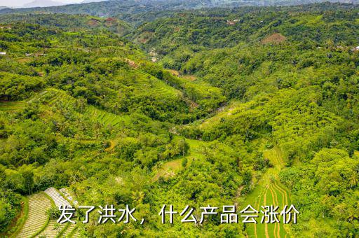 發(fā)了洪水，什么產(chǎn)品會漲價(jià)