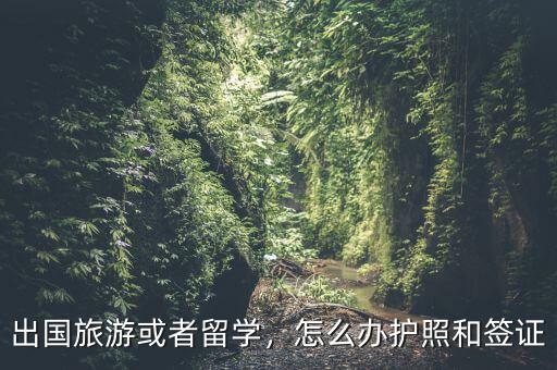 出國旅游或者留學(xué)，怎么辦護(hù)照和簽證