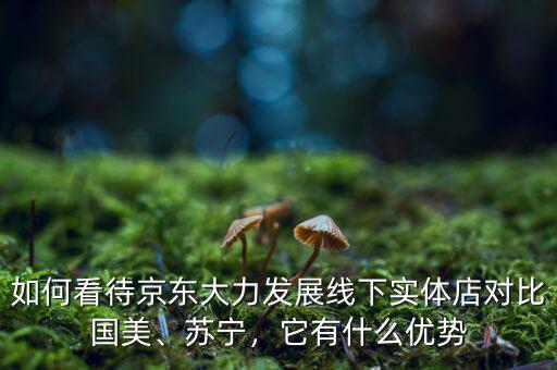 如何看待京東大力發(fā)展線下實體店對比國美、蘇寧，它有什么優(yōu)勢