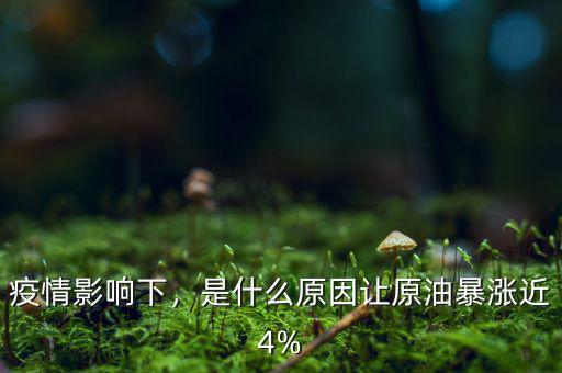 疫情影響下，是什么原因讓原油暴漲近4%