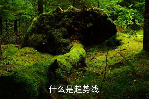 趨勢(shì)線(xiàn)是什么,什么是趨勢(shì)線(xiàn)