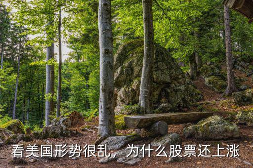 看美國(guó)形勢(shì)很亂，為什么股票還上漲