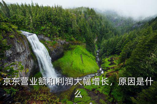 京東營業(yè)額和利潤大幅增長，原因是什么