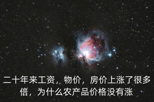 二十年來(lái)工資，物價(jià)，房?jī)r(jià)上漲了很多倍，為什么農(nóng)產(chǎn)品價(jià)格沒(méi)有漲