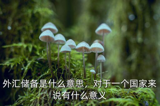 外匯儲(chǔ)備是什么意思，對(duì)于一個(gè)國(guó)家來說有什么意義
