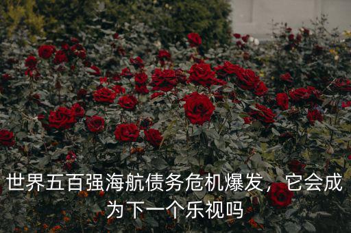 世界五百強(qiáng)海航債務(wù)危機(jī)爆發(fā)，它會成為下一個(gè)樂視嗎
