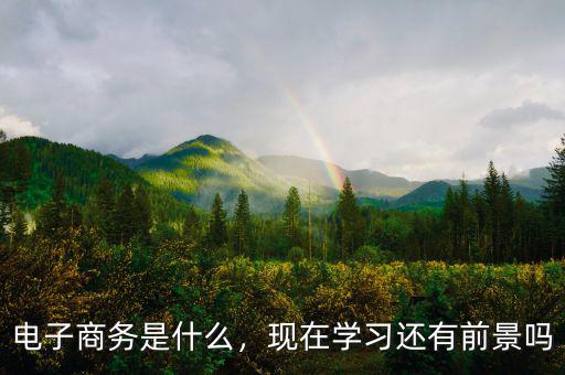 電子商務(wù)是什么，現(xiàn)在學習還有前景嗎
