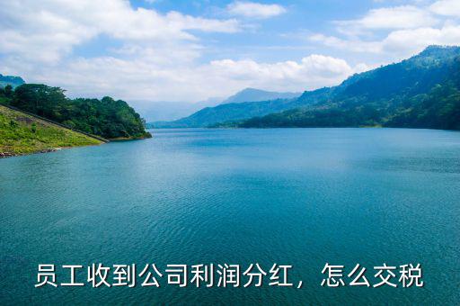員工收到公司利潤(rùn)分紅，怎么交稅