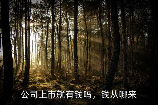 公司上市就有錢嗎，錢從哪來