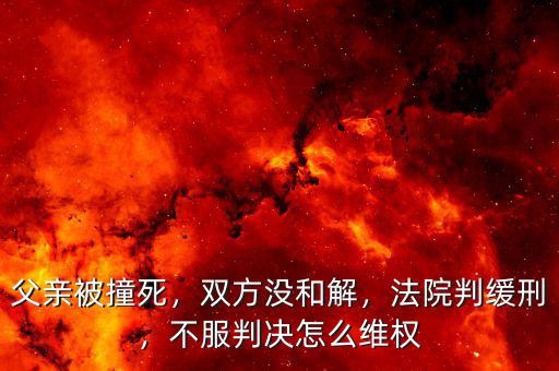 父親被撞死，雙方?jīng)]和解，法院判緩刑，不服判決怎么維權(quán)