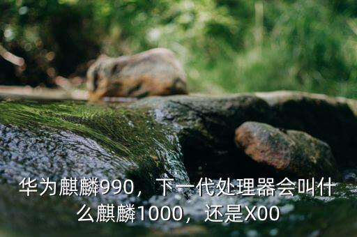 華為麒麟990，下一代處理器會(huì)叫什么麒麟1000，還是X00