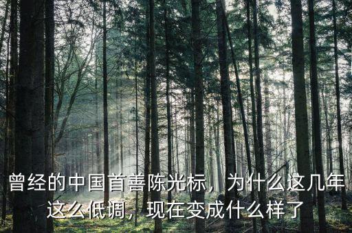 曾經(jīng)的中國(guó)首善陳光標(biāo)，為什么這幾年這么低調(diào)，現(xiàn)在變成什么樣了