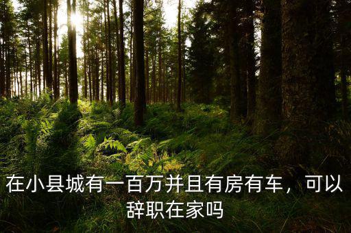在小縣城有一百萬(wàn)并且有房有車(chē)，可以辭職在家嗎