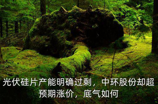 光伏硅片產(chǎn)能明確過剩，中環(huán)股份卻超預(yù)期漲價，底氣如何