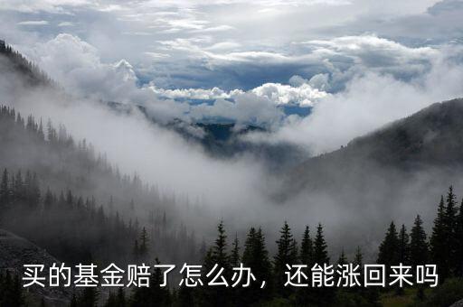 買的基金賠了怎么辦，還能漲回來嗎
