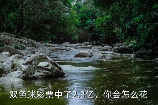 雙色球彩票中了2.3億，你會(huì)怎么花