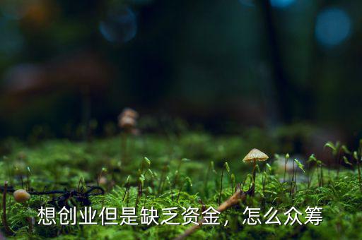 想創(chuàng)業(yè)但是缺乏資金，怎么眾籌