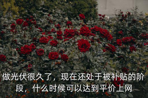 做光伏很久了，現(xiàn)在還處于被補(bǔ)貼的階段，什么時(shí)候可以達(dá)到平價(jià)上網(wǎng)
